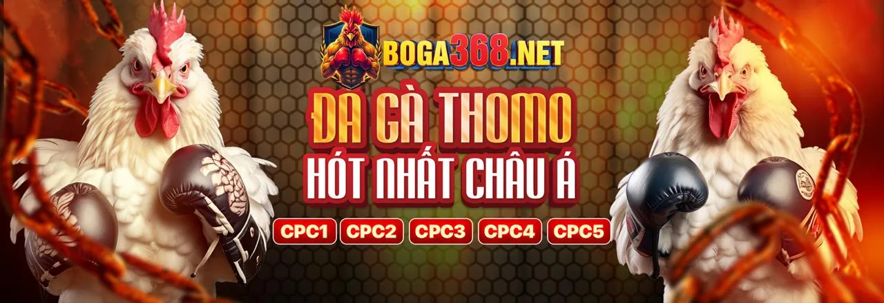 Các trò chơi cá cược đa dạng tại MB661